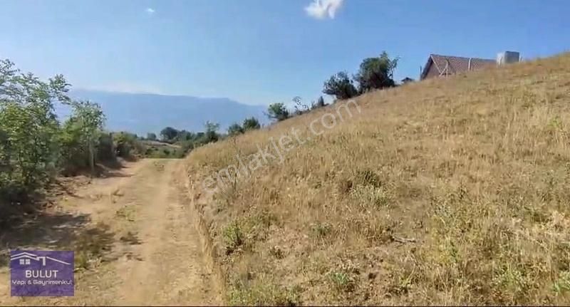 Hükümdar Bulut 'tan Yatırım Fırsatı 1.100m2 Ceviz Bahçesi - Görsel 14