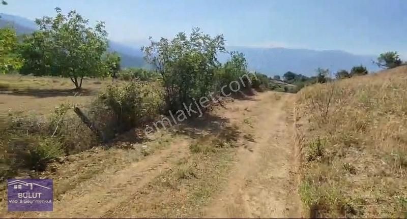 Hükümdar Bulut 'tan Yatırım Fırsatı 1.100m2 Ceviz Bahçesi - Görsel 2