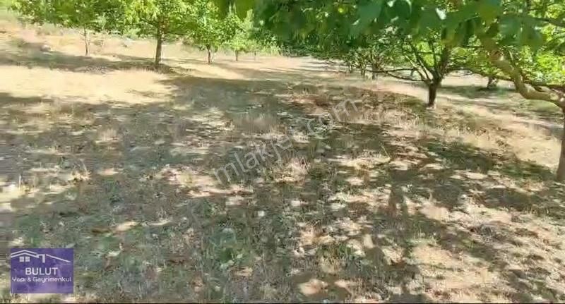Hükümdar Bulut 'tan Yatırım Fırsatı 1.100m2 Ceviz Bahçesi - Görsel 18