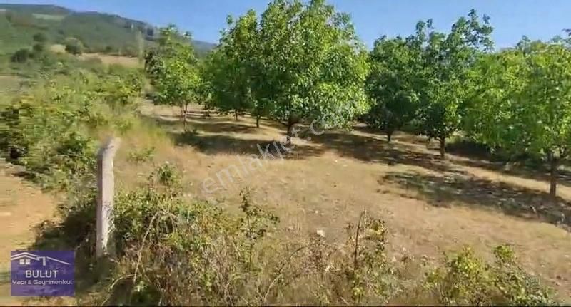 Hükümdar Bulut 'tan Yatırım Fırsatı 1.100m2 Ceviz Bahçesi - Görsel 15