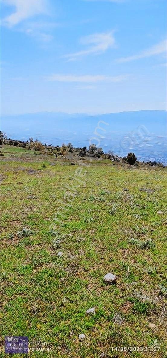 Pamukova Çilekli Köyü 3.252m2doğa Manzaralı Hobi Bahçesine Uygun - Görsel 7