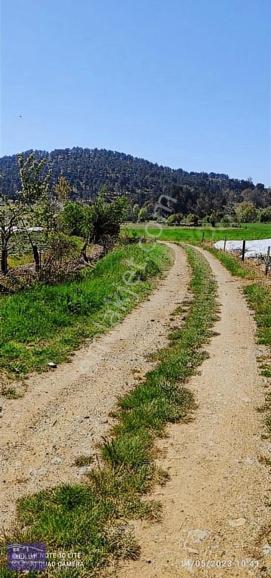 Pamukova Çilekli Köyü 3.252m2doğa Manzaralı Hobi Bahçesine Uygun - Görsel 12