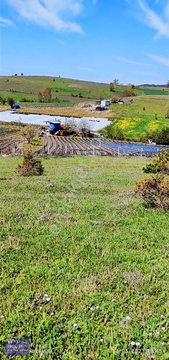 Pamukova Çilekli Köyü 3.252m2doğa Manzaralı Hobi Bahçesine Uygun - Görsel 16