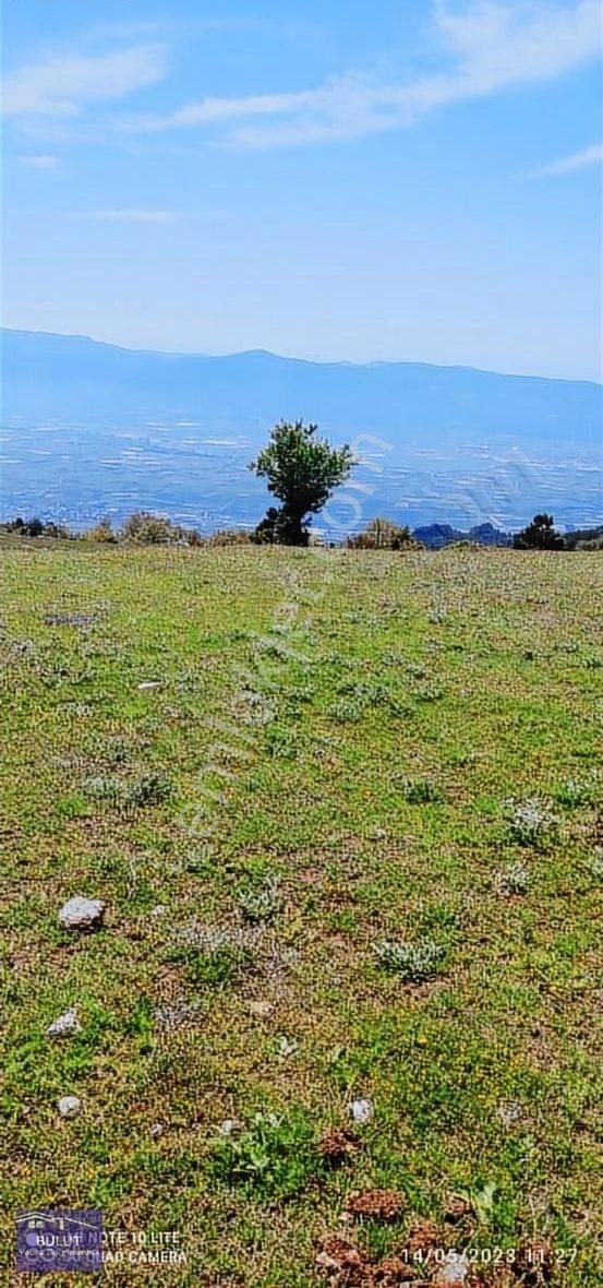 Pamukova Çilekli Köyü 3.252m2doğa Manzaralı Hobi Bahçesine Uygun - Görsel 9