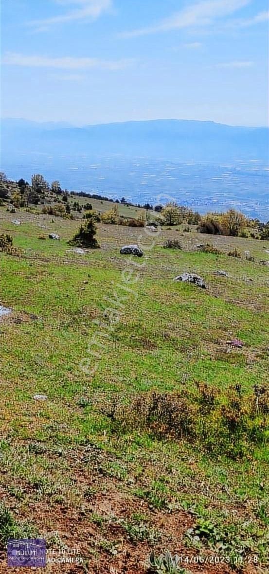 Pamukova Çilekli Köyü 3.252m2doğa Manzaralı Hobi Bahçesine Uygun - Görsel 8
