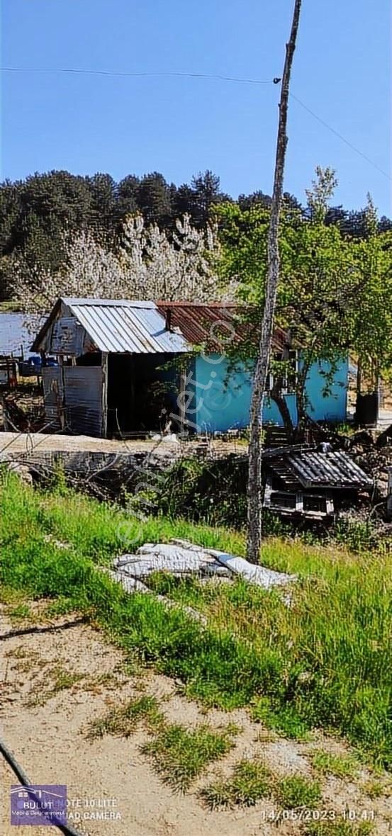 Pamukova Çilekli Köyü 3.252m2doğa Manzaralı Hobi Bahçesine Uygun - Görsel 4