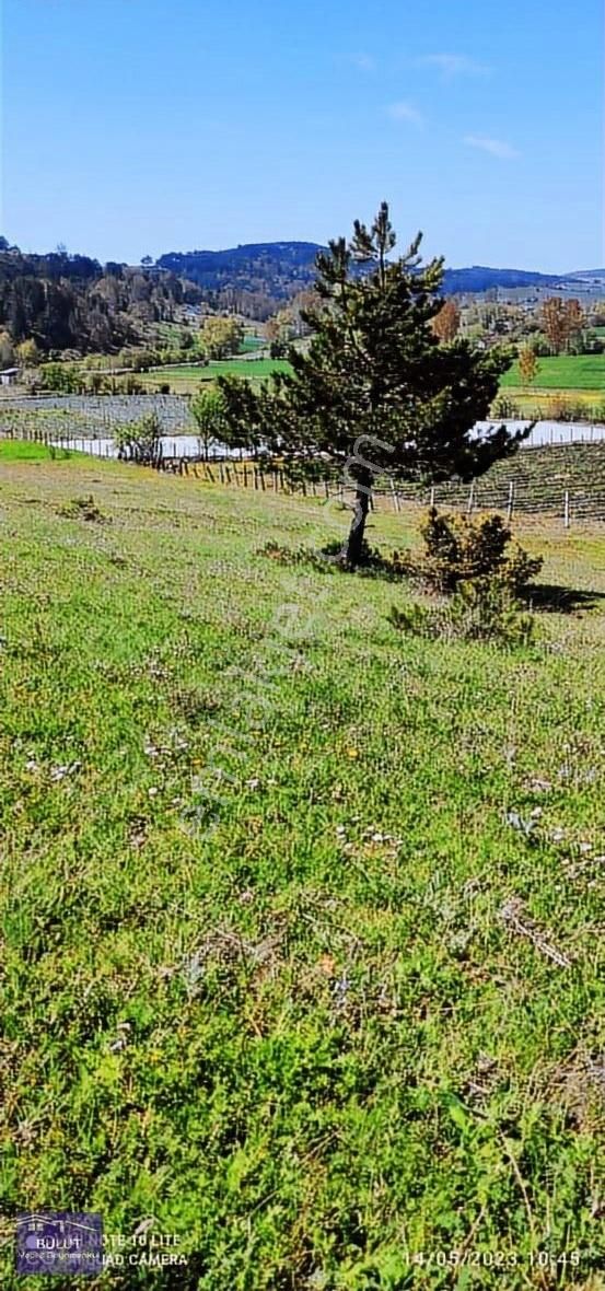 Pamukova Çilekli Köyü 3.252m2doğa Manzaralı Hobi Bahçesine Uygun - Görsel 19