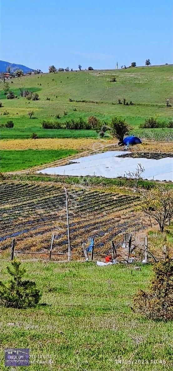 Pamukova Çilekli Köyü 3.252m2doğa Manzaralı Hobi Bahçesine Uygun - Görsel 10