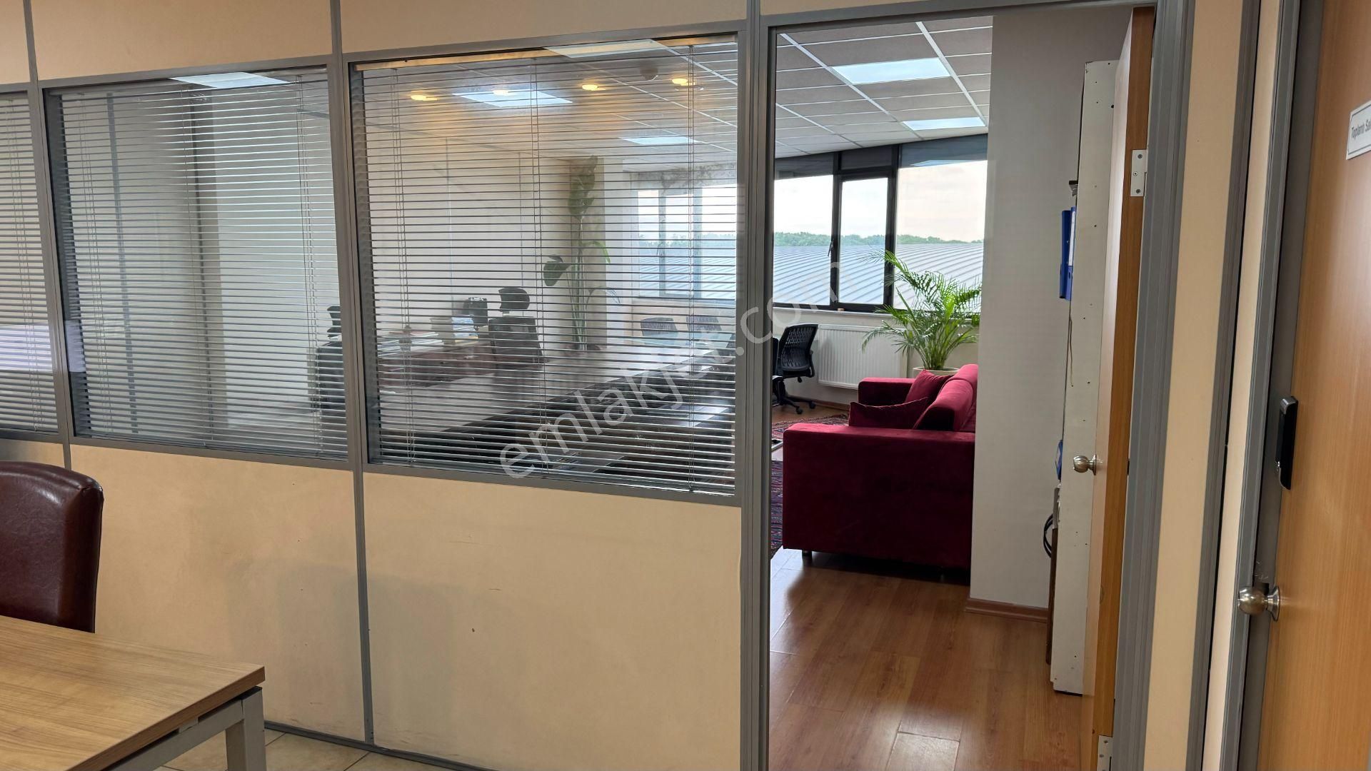 Kavacık'ta 300 M² Orman Manzaralı Plaza Katları - Görsel 8