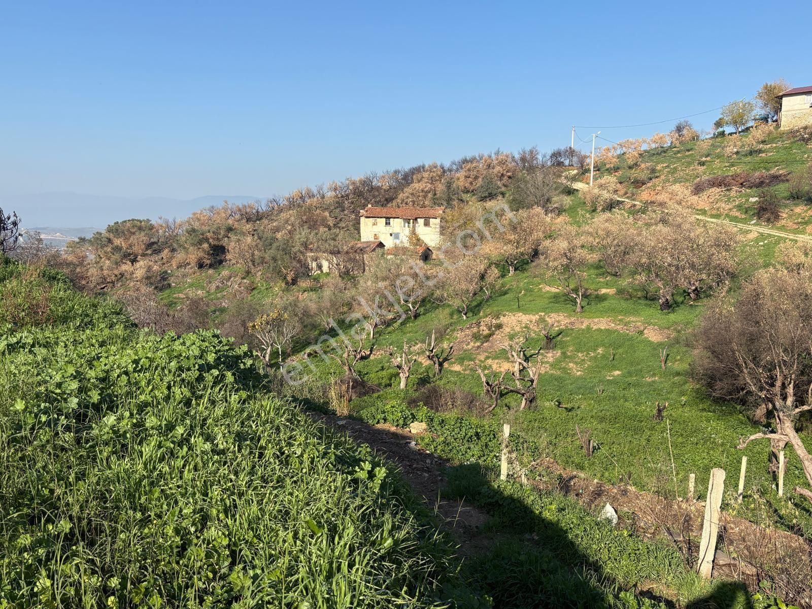 Şahin Gayrimenkul Den Alacalı Köyünde İmarlı Köy İçi Bahçe - Görsel 2