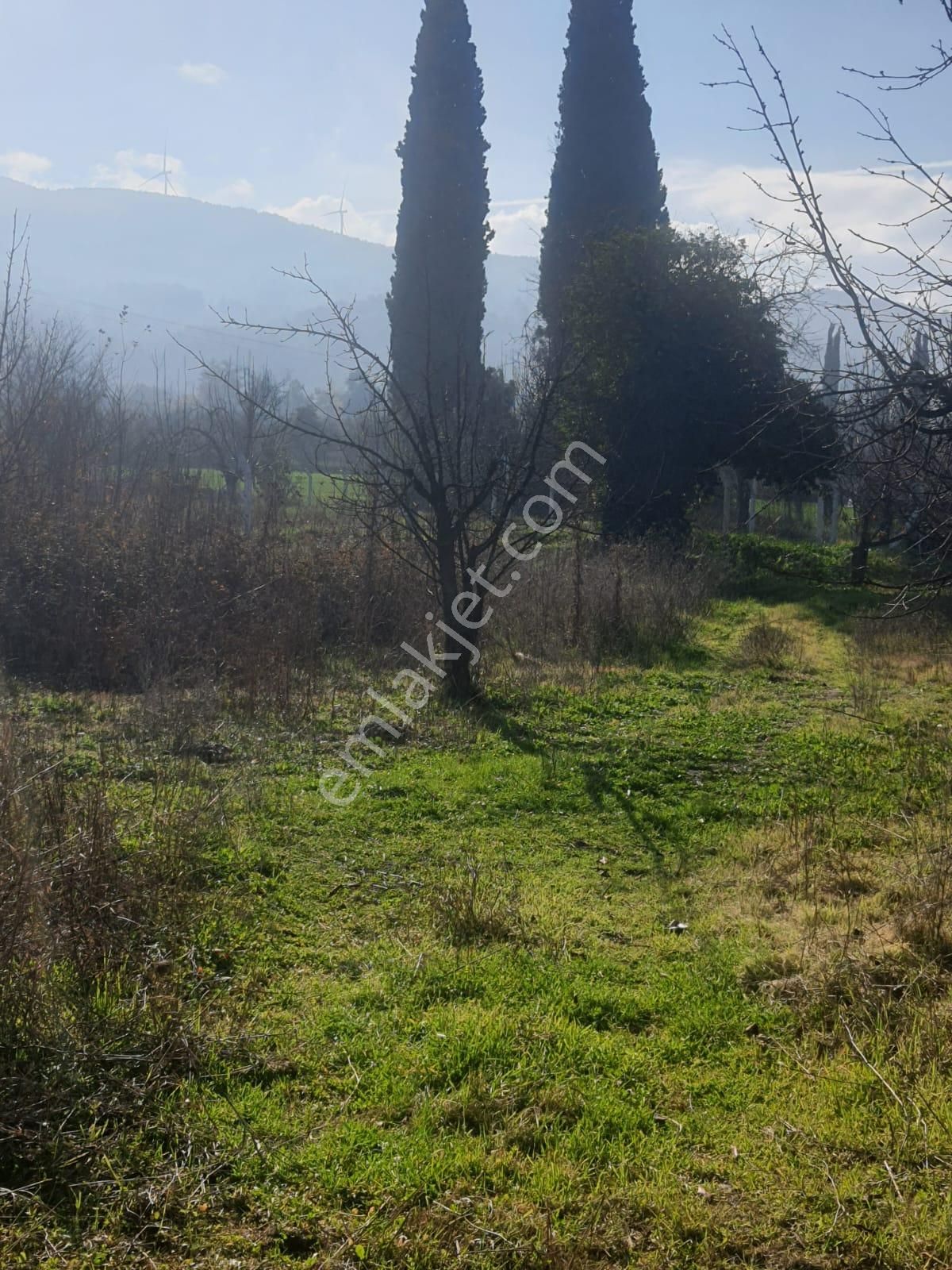 Gökçealan Köyünde Tek Tapu Tarla - Görsel 5