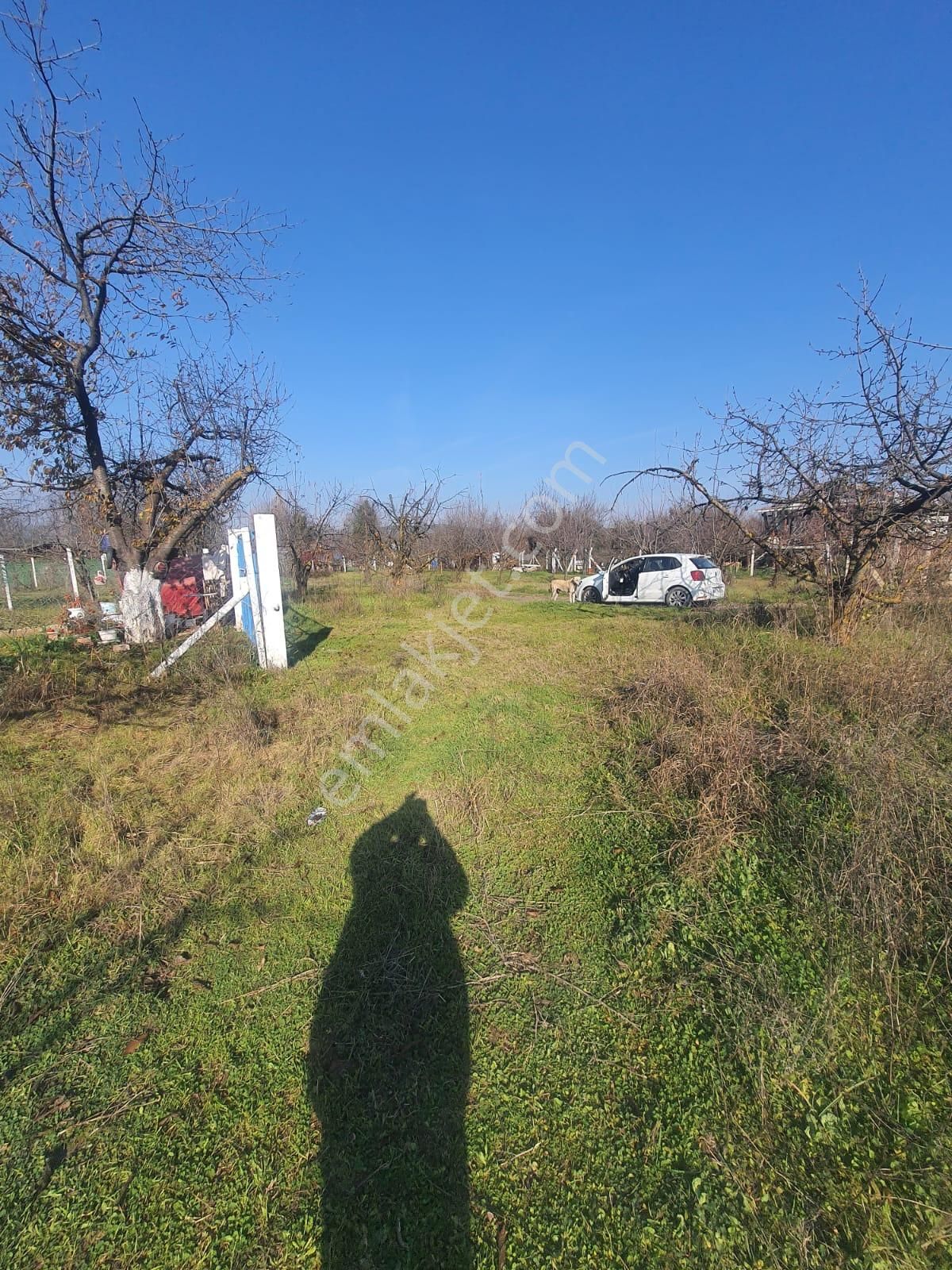 Gökçealan Köyünde Tek Tapu Tarla - Görsel 10