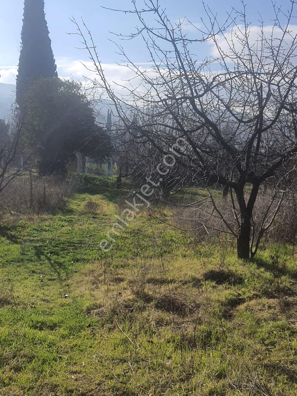 Gökçealan Köyünde Tek Tapu Tarla - Görsel 9