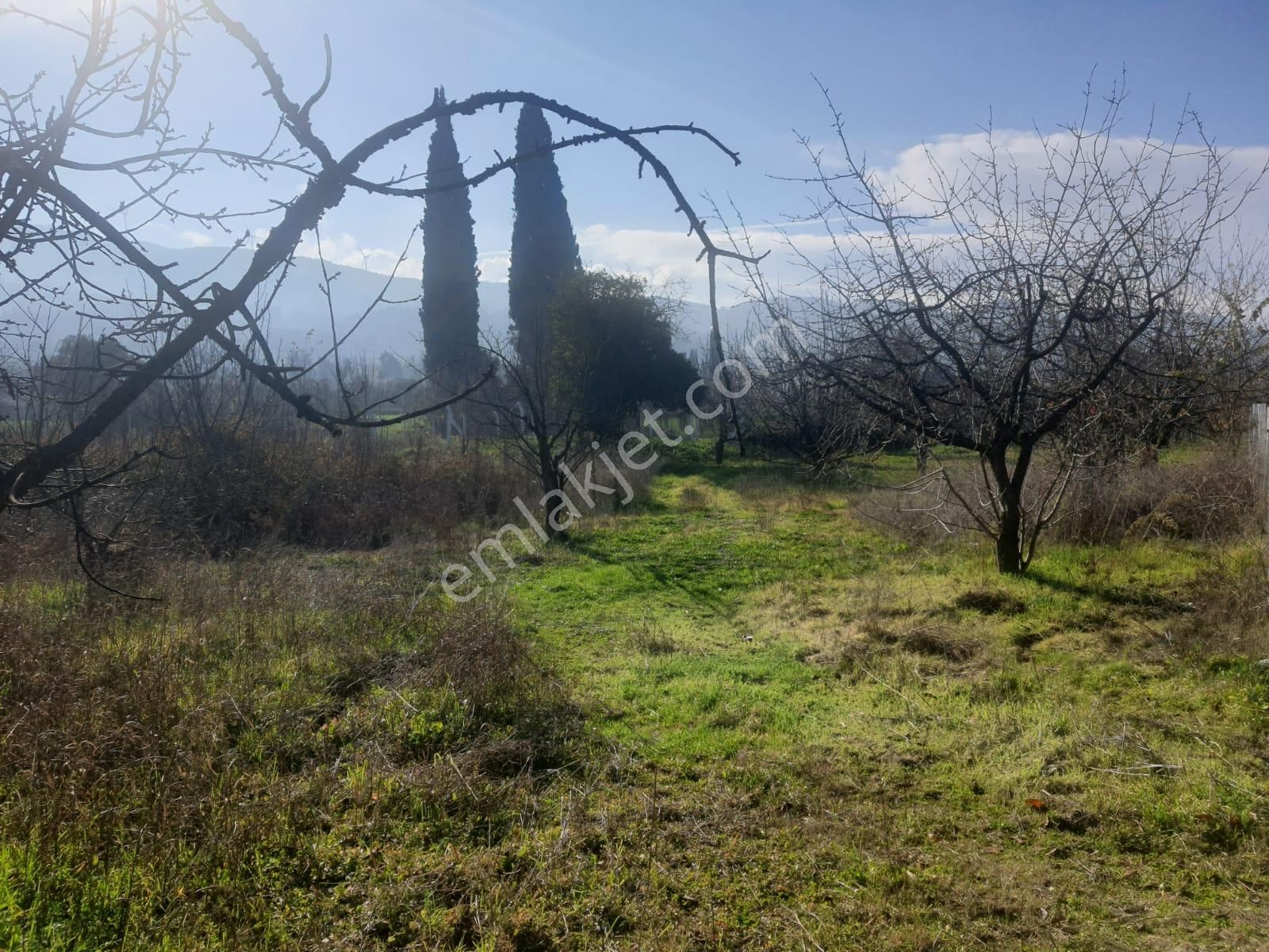 Gökçealan Köyünde Tek Tapu Tarla - Görsel 18