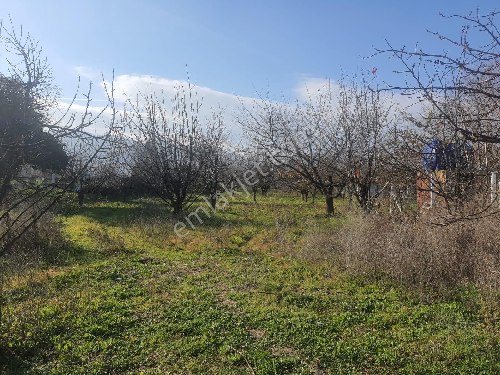 Gökçealan Köyünde Tek Tapu Tarla - Görsel 14