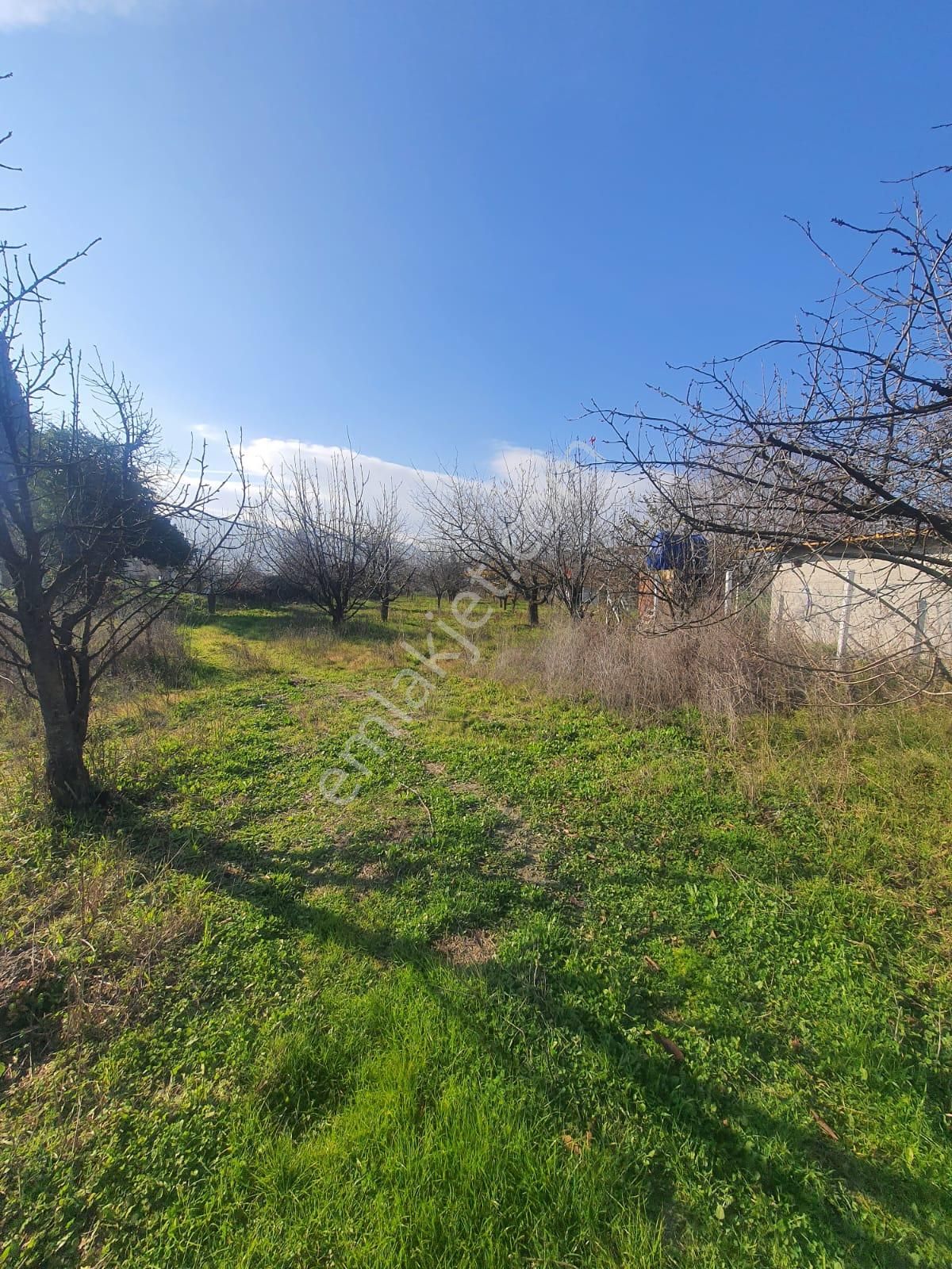 Gökçealan Köyünde Tek Tapu Tarla - Görsel 11