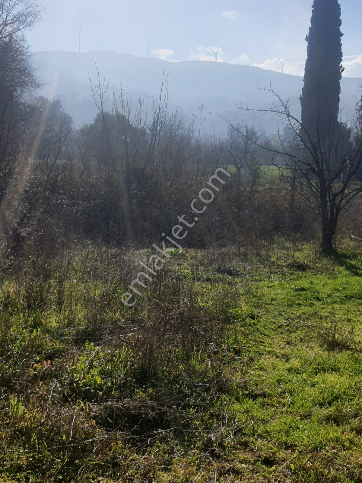 Gökçealan Köyünde Tek Tapu Tarla