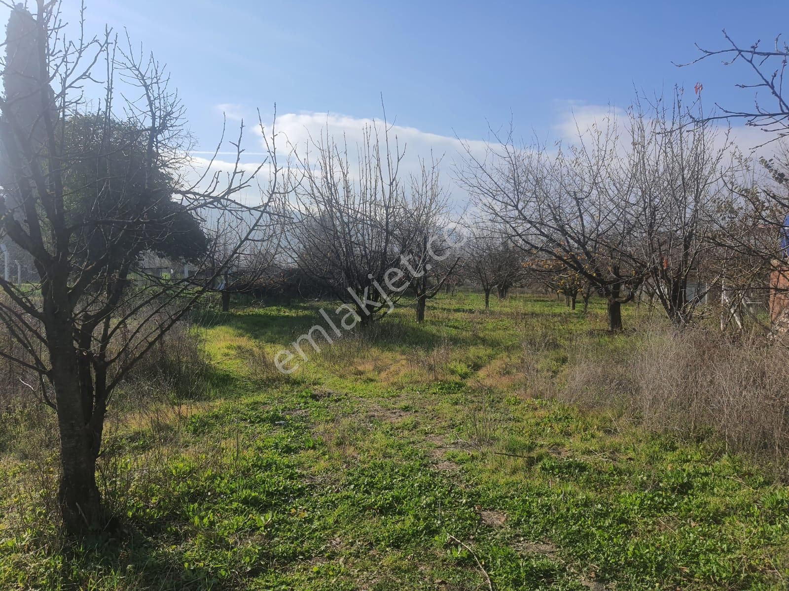 Gökçealan Köyünde Tek Tapu Tarla - Görsel 17