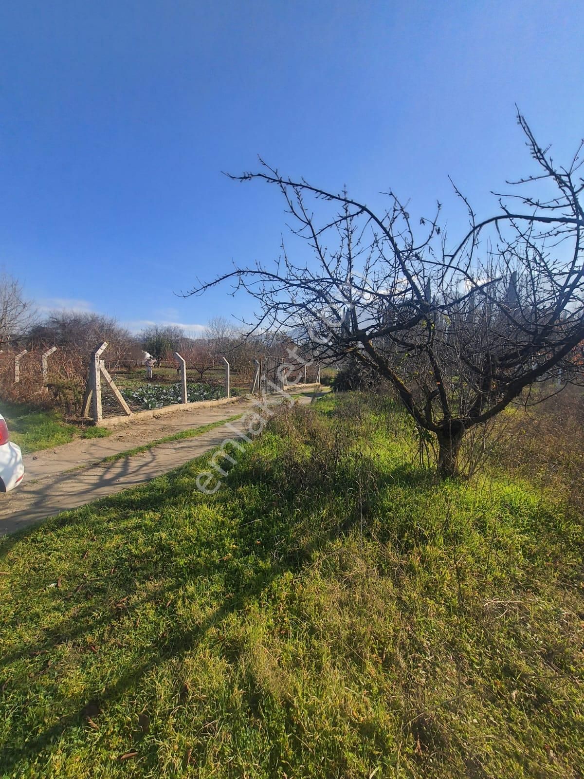 Gökçealan Köyünde Tek Tapu Tarla - Görsel 8