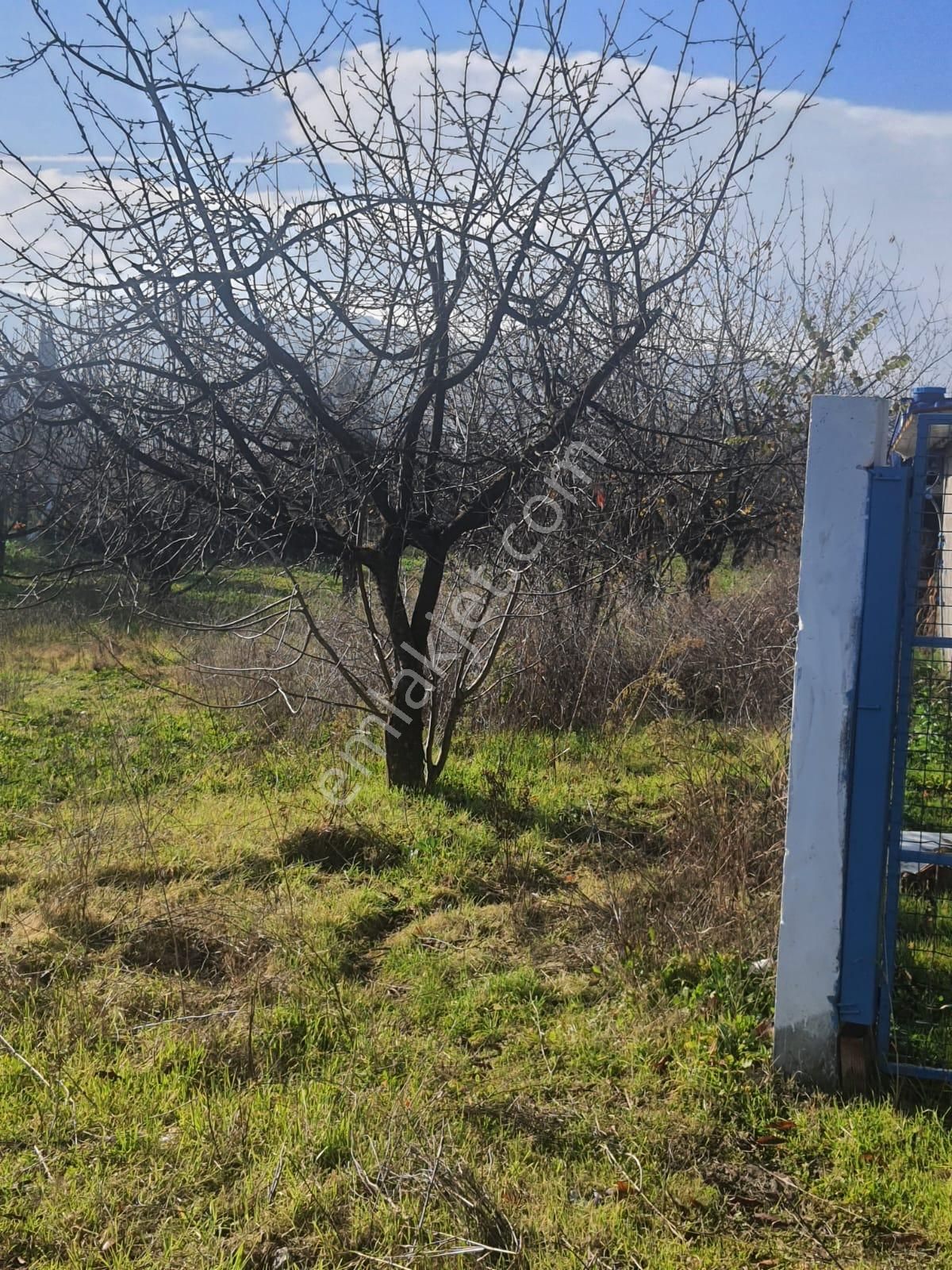 Gökçealan Köyünde Tek Tapu Tarla - Görsel 6
