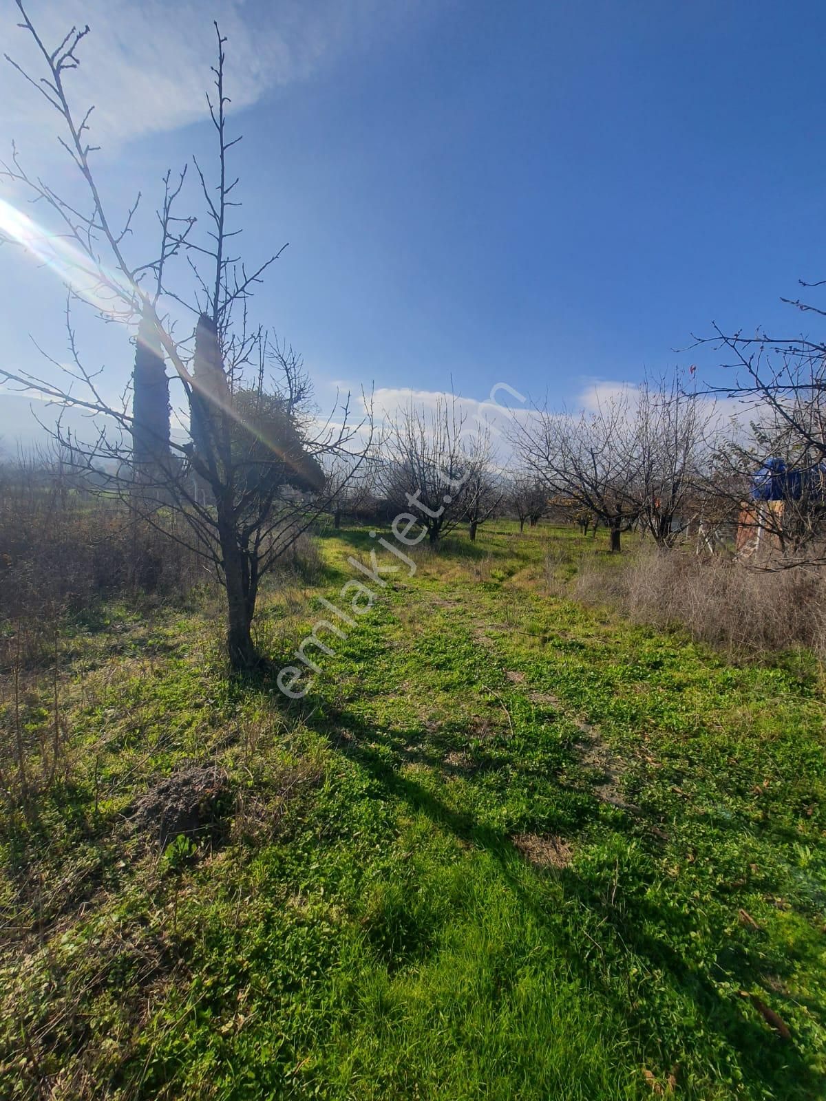 Gökçealan Köyünde Tek Tapu Tarla - Görsel 12