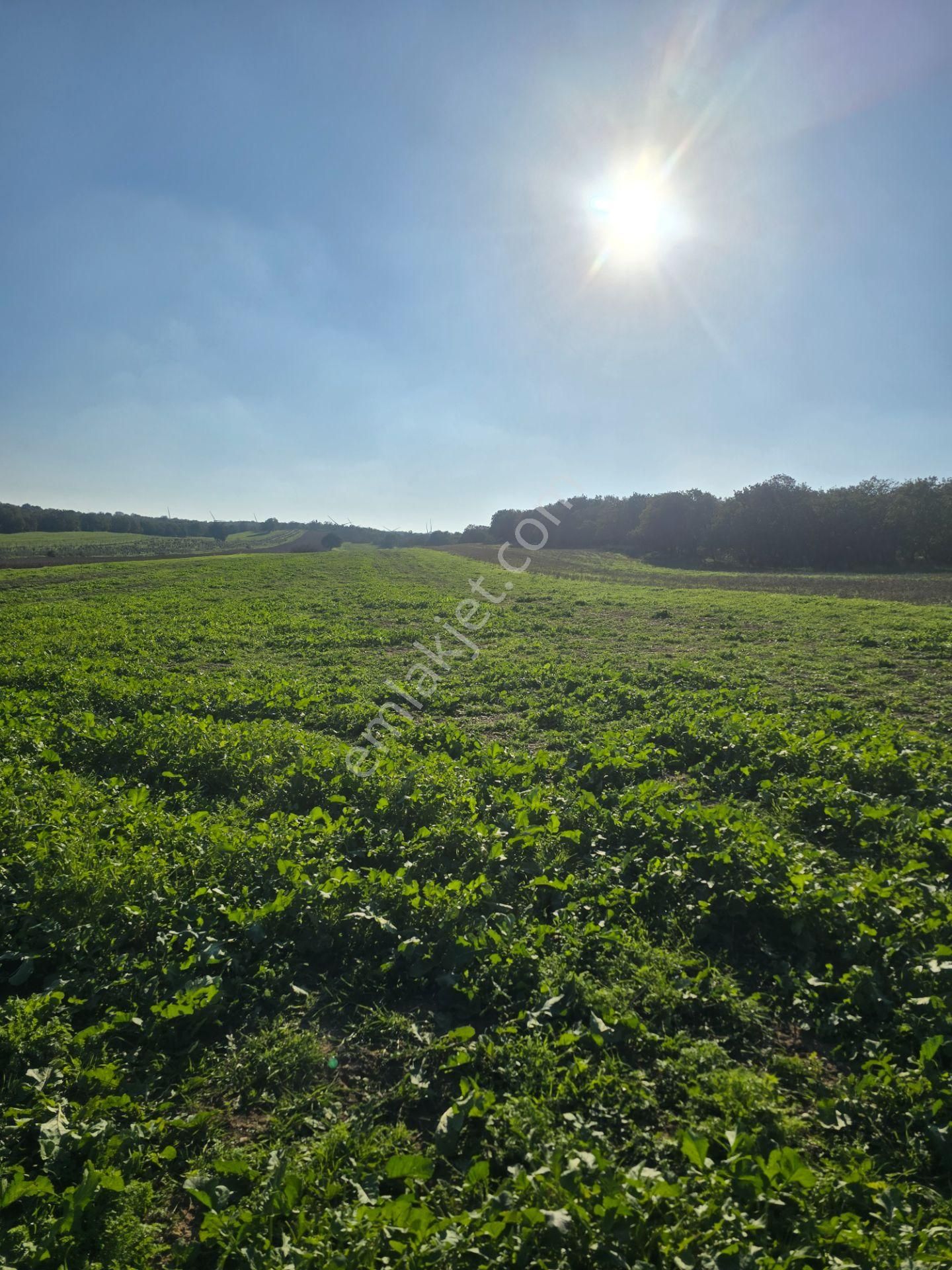 Ezine Mahmudiye'de Kelepir 11800m2 Tarla Han Emlak Otomotiv'den - Görsel 27