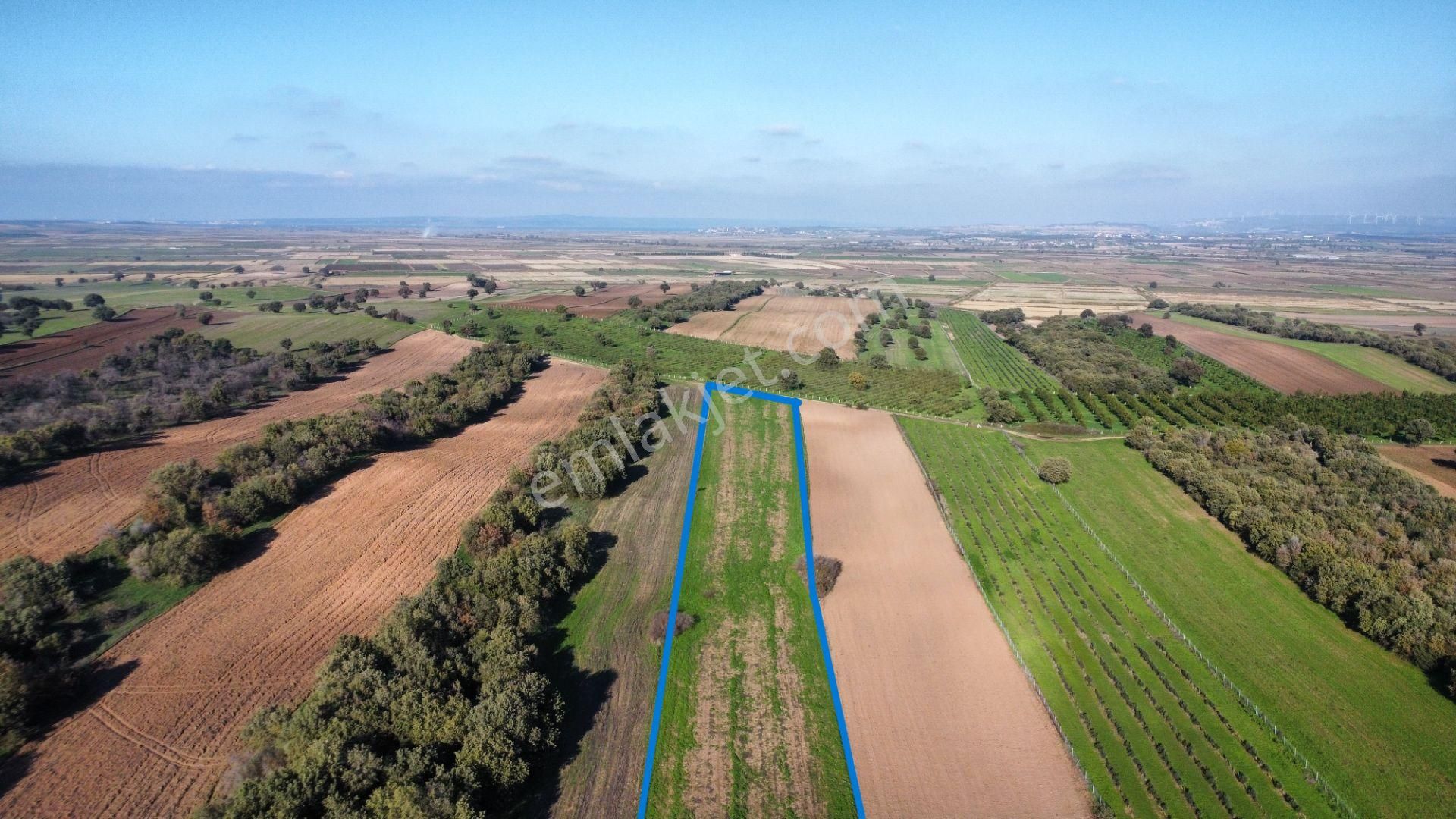 Ezine Mahmudiye'de Kelepir 11800m2 Tarla Han Emlak Otomotiv'den - Görsel 2