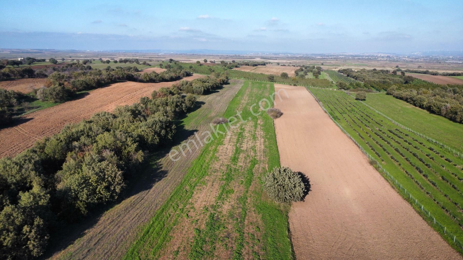 Ezine Mahmudiye'de Kelepir 11800m2 Tarla Han Emlak Otomotiv'den - Görsel 11