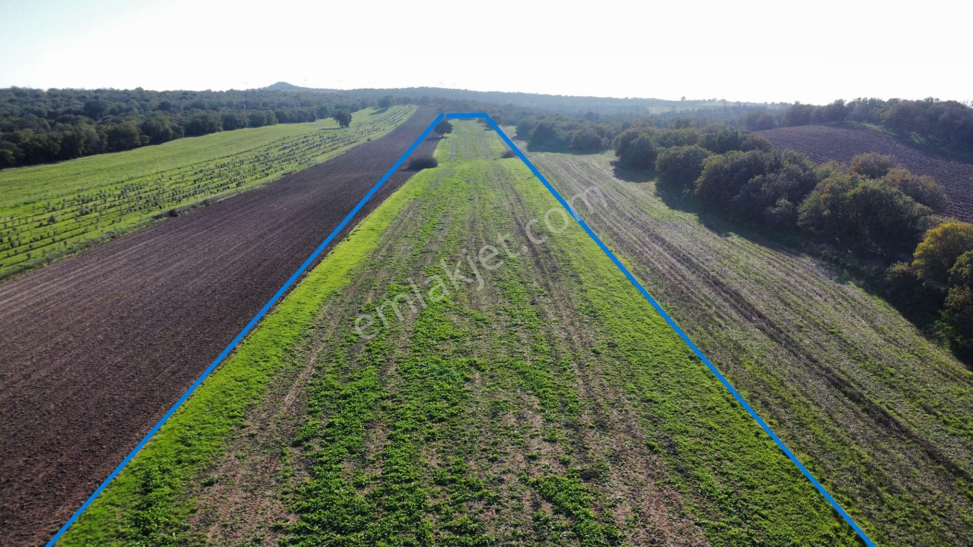 Ezine Mahmudiye'de Kelepir 11800m2 Tarla Han Emlak Otomotiv'den - Görsel 4