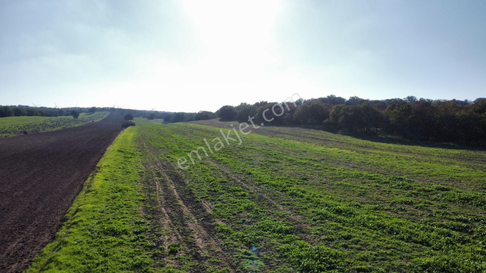 Ezine Mahmudiye'de Kelepir 11800m2 Tarla Han Emlak Otomotiv'den - Görsel 17