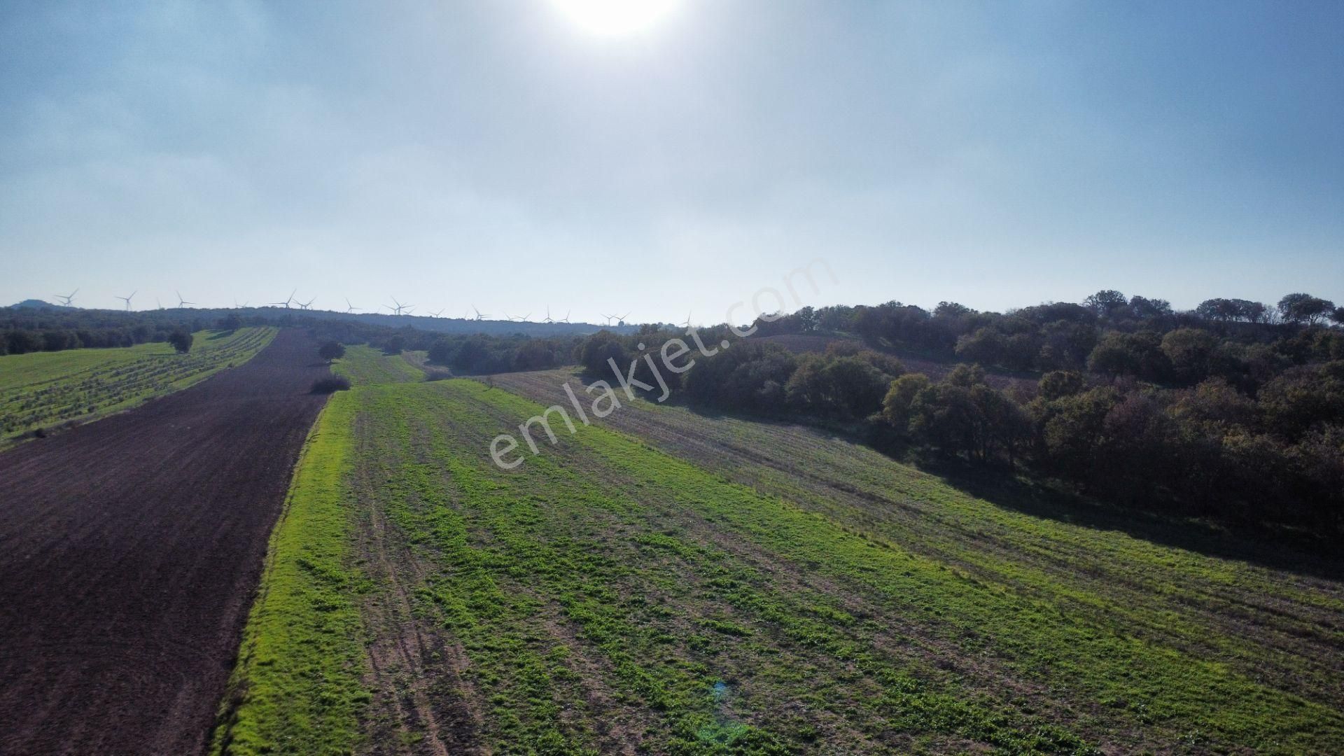 Ezine Mahmudiye'de Kelepir 11800m2 Tarla Han Emlak Otomotiv'den - Görsel 16