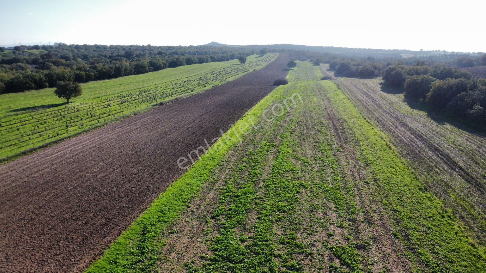 Ezine Mahmudiye'de Kelepir 11800m2 Tarla Han Emlak Otomotiv'den - Görsel 8