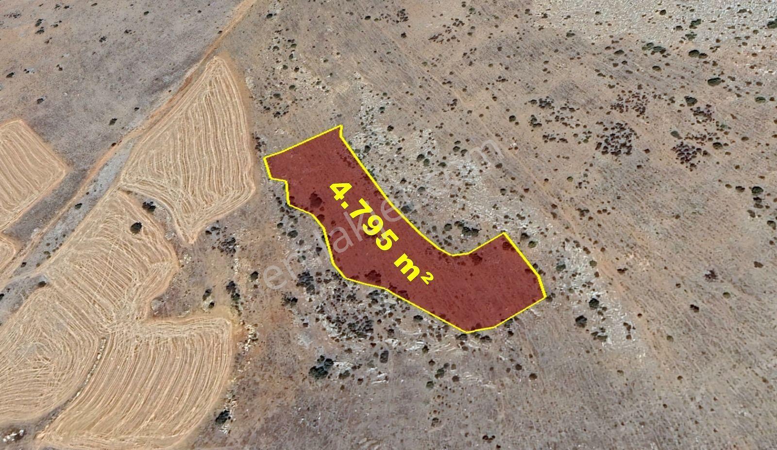 Karaman / Merkez / Başkışla Mahallesinde 4.795 M² Müstakil Tapulu Tarla - Görsel 4