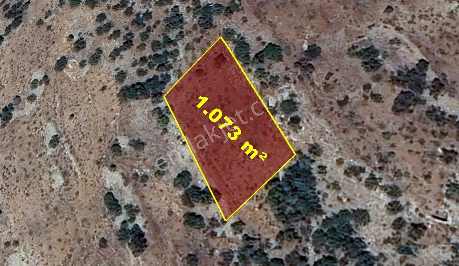 Karaman / Merkez / Başkışla Mahallesinde 1.073 M² Müstakil Tapulu Bağ - Görsel 5