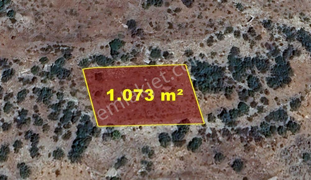 Karaman / Merkez / Başkışla Mahallesinde 1.073 M² Müstakil Tapulu Bağ