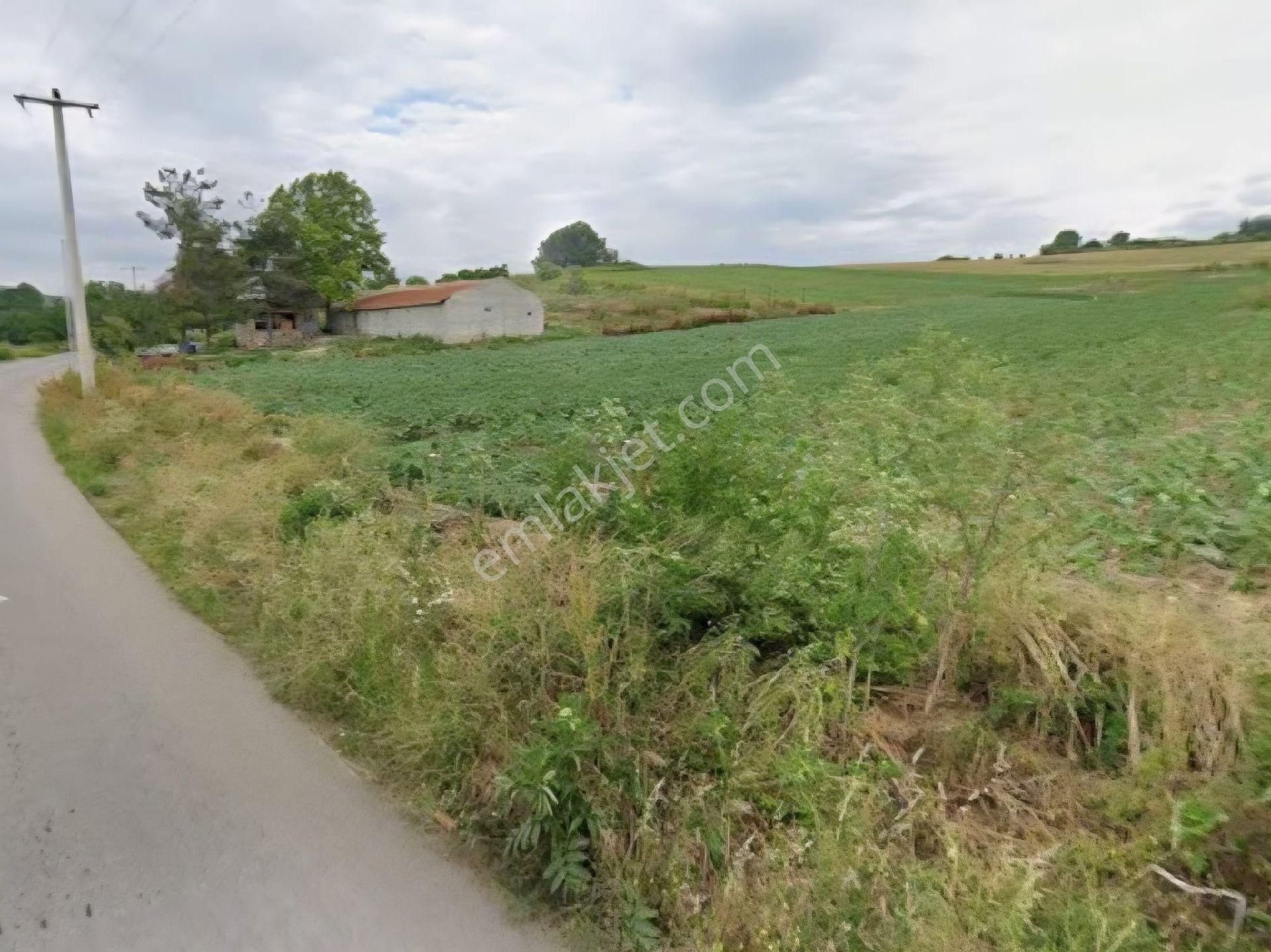 İdenova Gayrimenkul'den İnegölde Arsa Olmampotandiyeli Yüksek Satılık Arazi