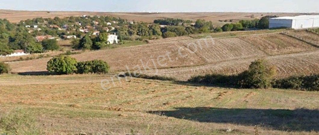Tekirdağ Muratlı Aydın Köyde Köyün İçinde 2.500 M2 Satılık Arsa
