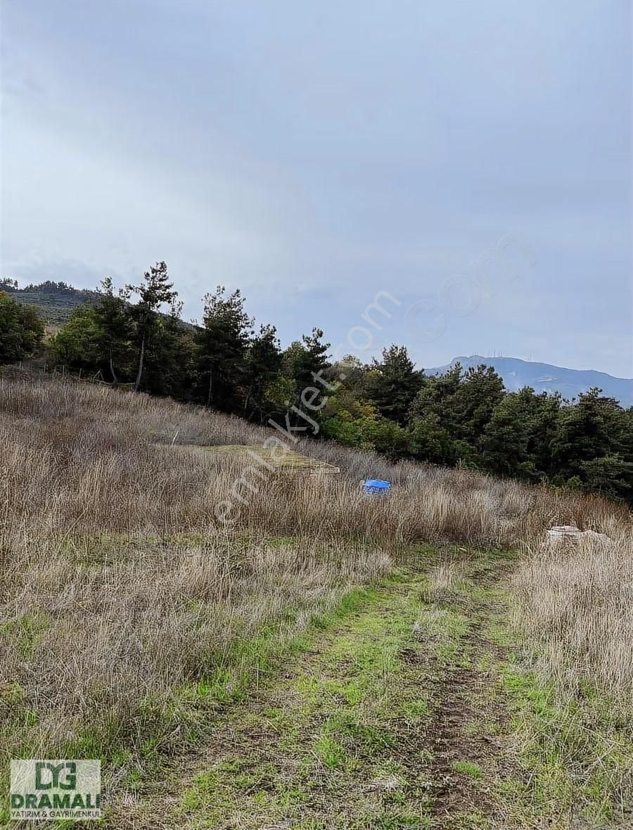 Bursa Gemlik Kurşunluda Deniz Manzaralı Tarla - Görsel 17