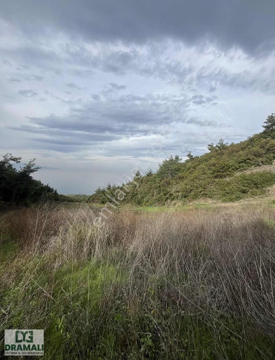 Bursa Gemlik Kurşunluda Deniz Manzaralı Tarla - Görsel 12