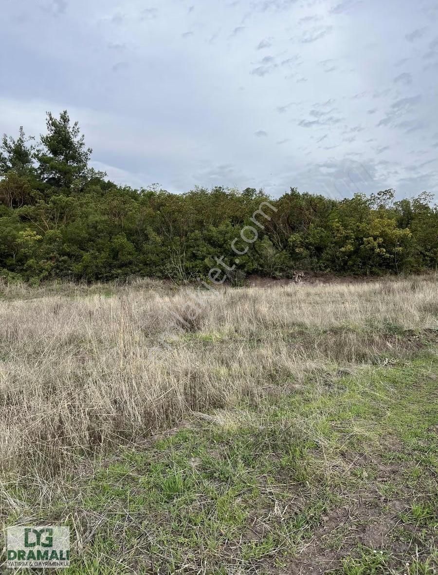 Bursa Gemlik Kurşunluda Deniz Manzaralı Tarla - Görsel 2