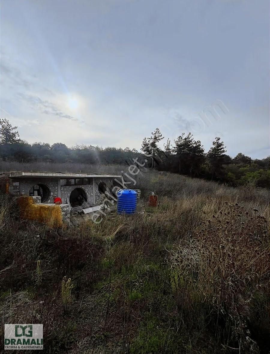 Bursa Gemlik Kurşunluda Deniz Manzaralı Tarla - Görsel 3