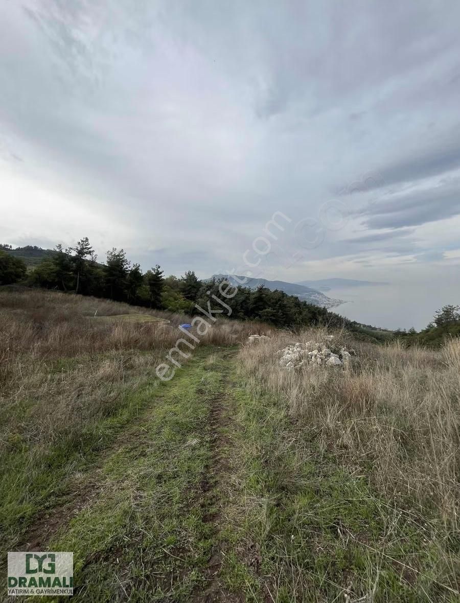 Bursa Gemlik Kurşunluda Deniz Manzaralı Tarla - Görsel 11
