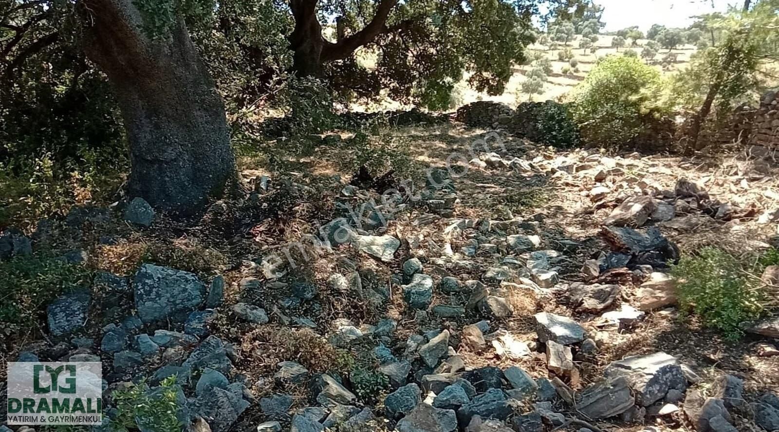Çok Acil Alan Hayrını Görsün Kazandıracak Yer - Görsel 20