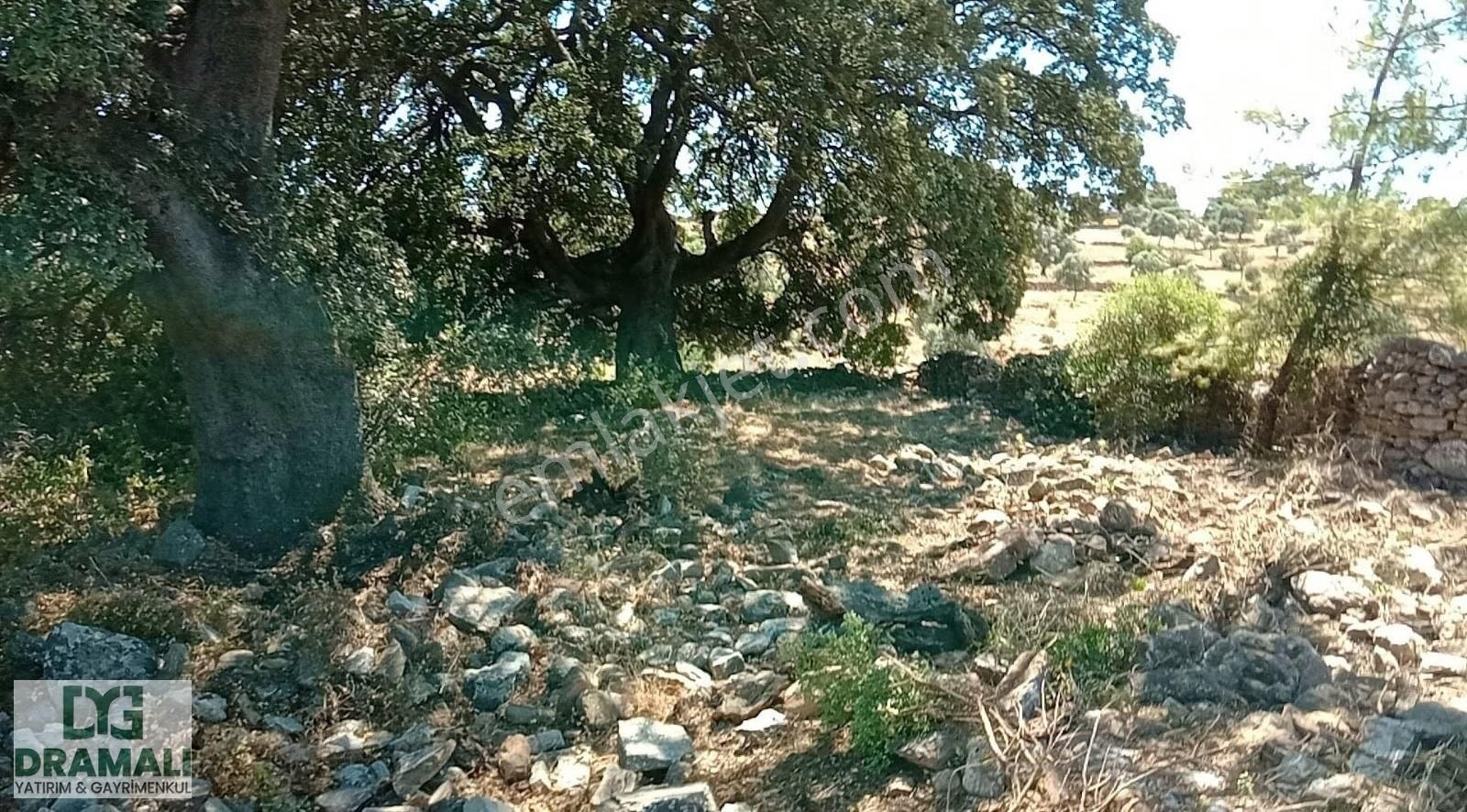 Çok Acil Alan Hayrını Görsün Kazandıracak Yer - Görsel 6