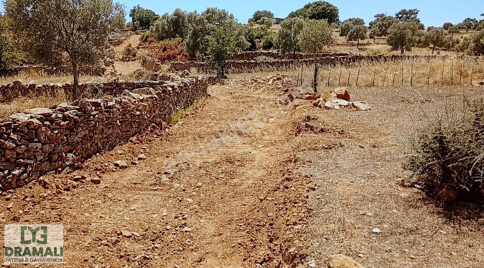 Çok Acil Alan Hayrını Görsün Kazandıracak Yer - Görsel 24