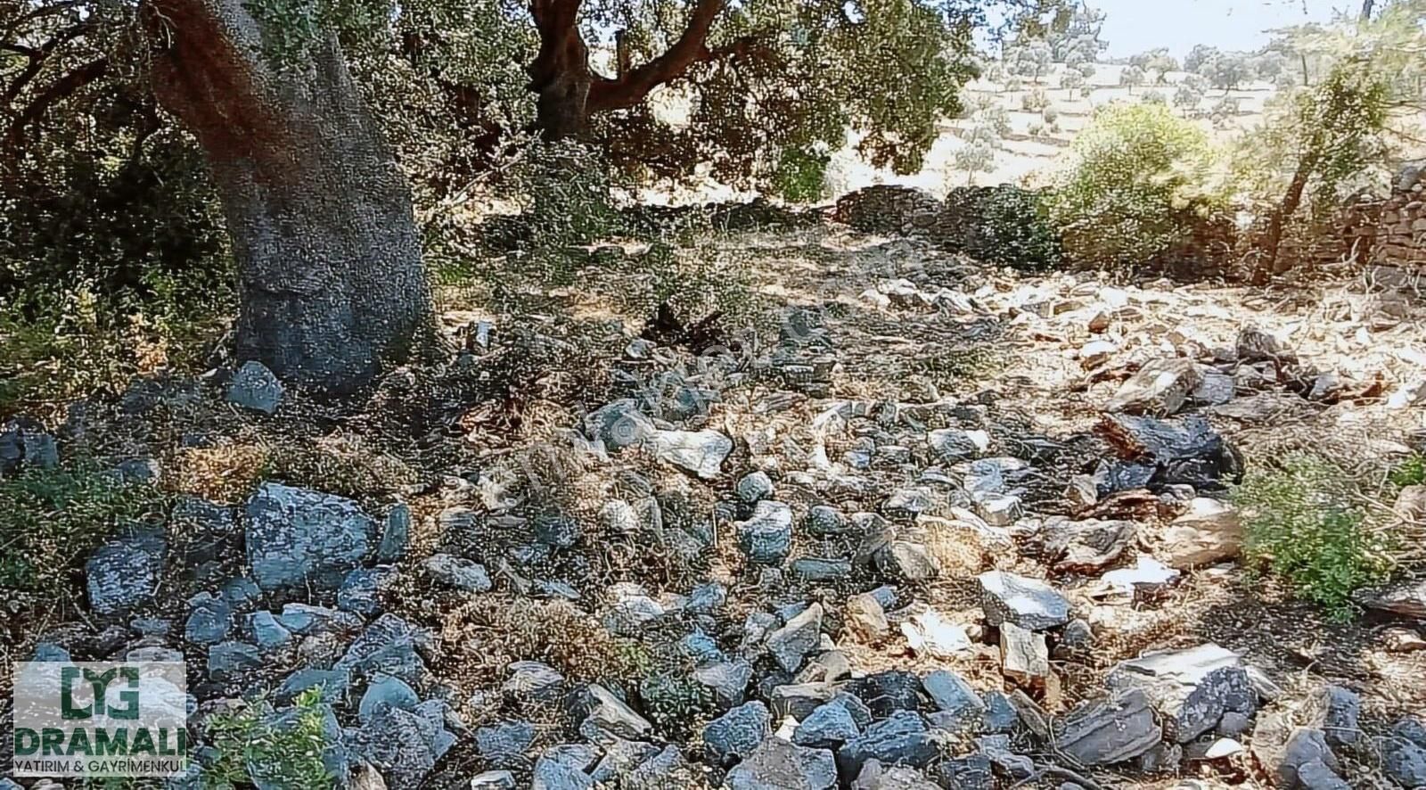 Çok Acil Alan Hayrını Görsün Kazandıracak Yer - Görsel 8