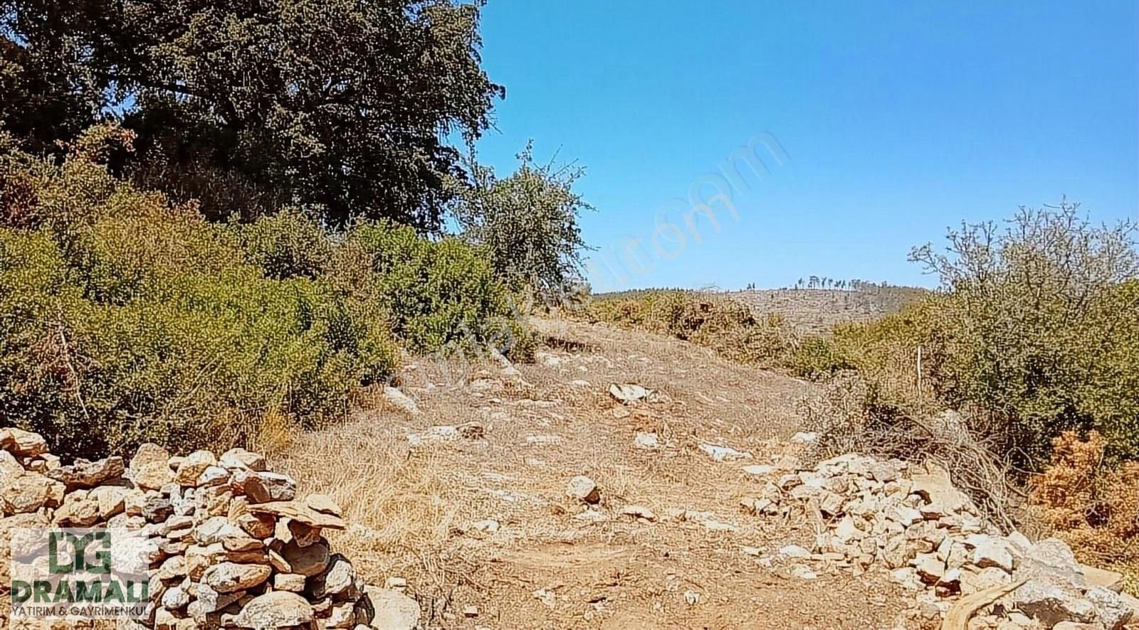 Çok Acil Alan Hayrını Görsün Kazandıracak Yer - Görsel 19