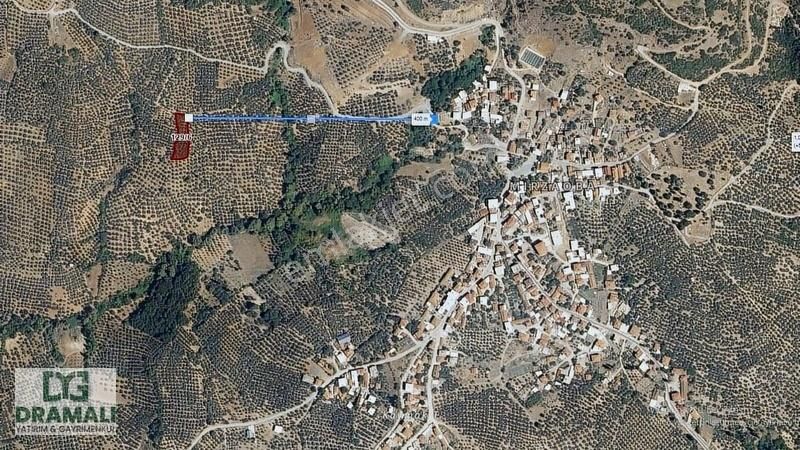 Mudanya Mirzaoba'da 1444 M² Satılık Fırsat Zeytinlik