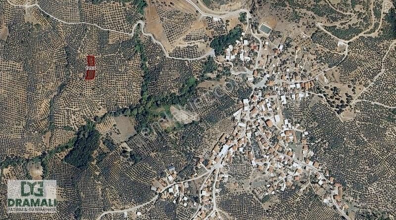Mudanya Mirzaoba'da 1444 M² Satılık Fırsat Zeytinlik - Görsel 2