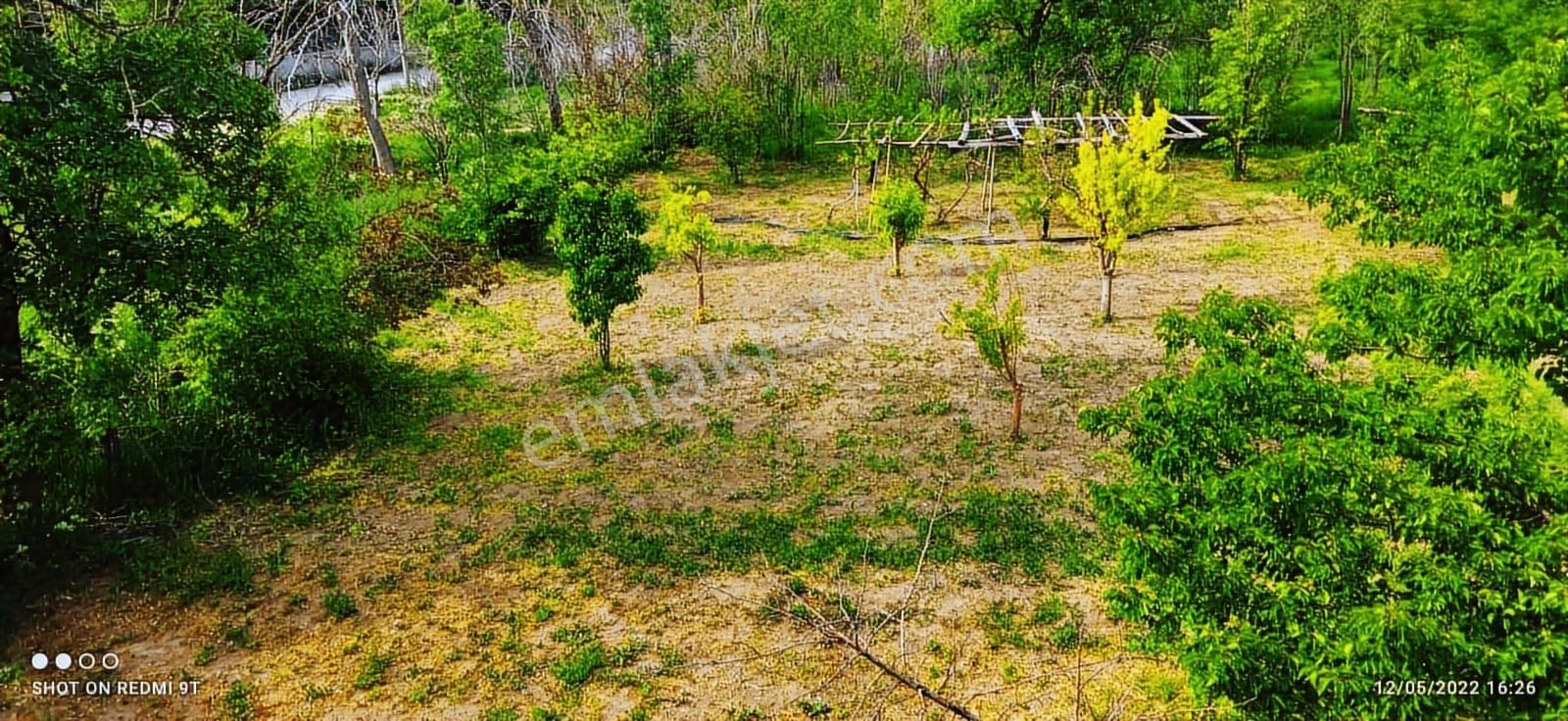 Çağlak Gayrimenkul Den Satılık Villa Arsası - Görsel 5